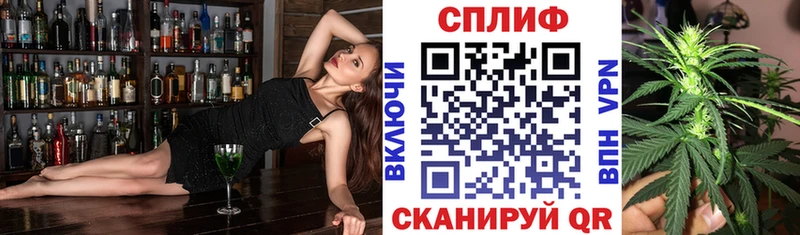 Марихуана сатива  что такое наркотик  это клад  Новая Ладога 